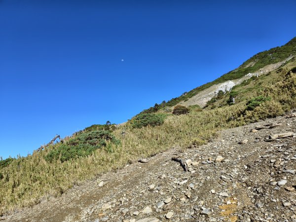 北一段(11/14)南湖北峰 2025_0906~132887235