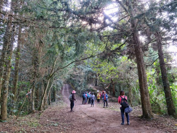 獵人古道 望美山 瓊山1584140