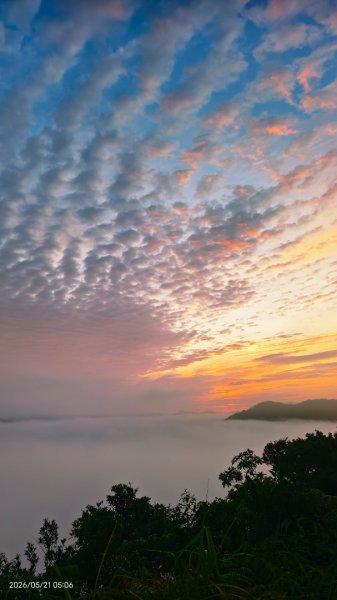 #坪林 #南山寺 #飛碟茶園 #慈瑤宮 #環山路 #日出 #雲海 #觀音圈 5/21-233058244