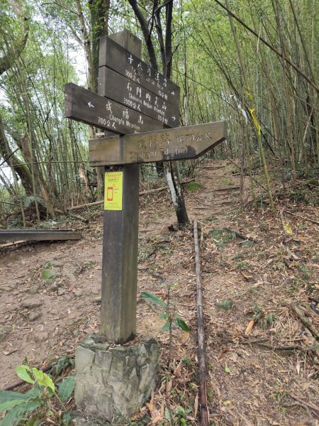 微笑山線：【天上山系】望月亭桐花段3001594