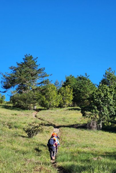 【中級山】馬武霸山，實至名歸的百岳觀景台2937722