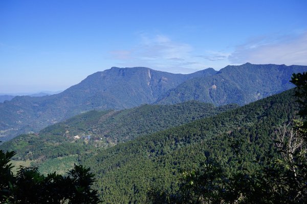 苗栗南庄鄉 向天湖山中記憶裏的海狸碎片1555803