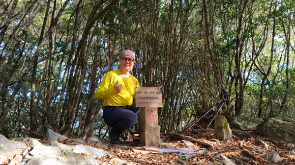 新康五天~戒茂斯進，出瓦拉米2949614