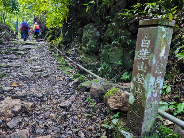 2025-01-12 白雞山、雞罩山、雞罩山前峰、鹿窟尖2690620