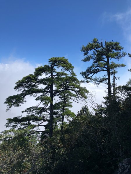 鳶嘴稍來國家步道季秋縱走1144599