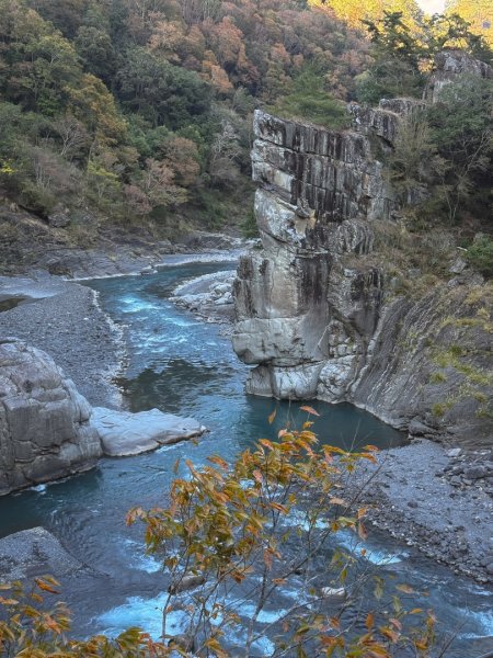 尖石鄉賞楓季-李崠山古堡、秀巒楓景、鎮西堡巨木群2958302