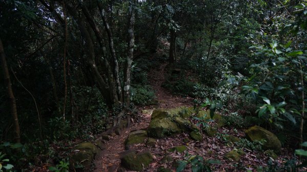 溪洲山 新溪洲山 石門水庫連走1304360