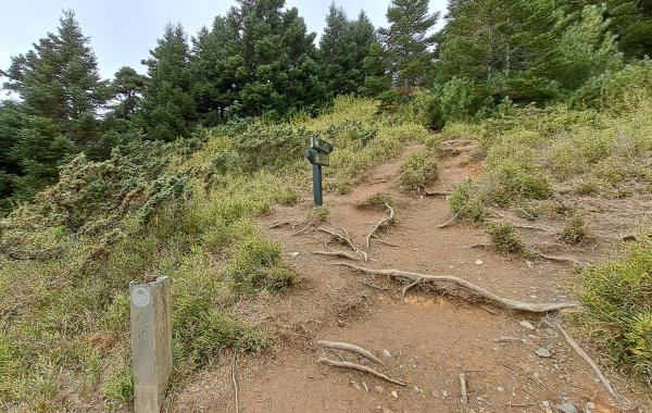 合歡西峰單攻1216881