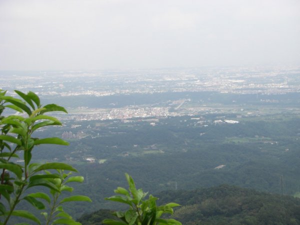 大溪_金面山200908141957757