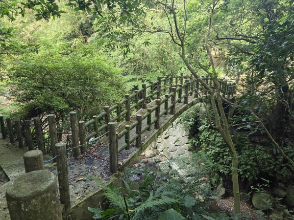 20260806金坑溪步道-頂草埔尾山-三界壇聖德宮-法鼓山-拾浪咖啡3101448