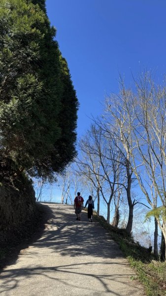 20260214 小百岳藤枝山3003004