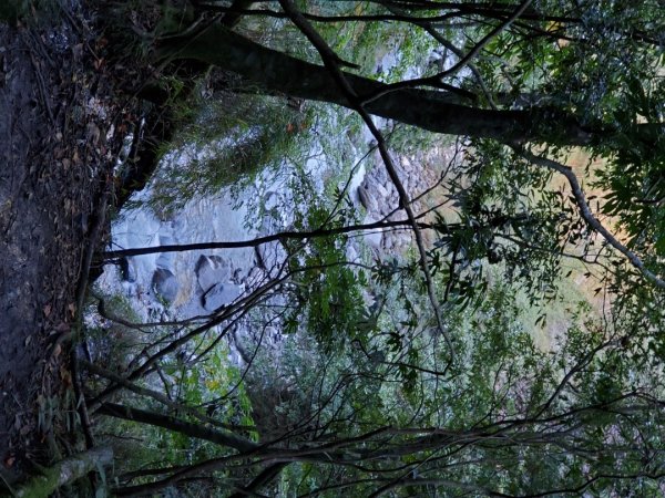 中橫大辣－屏風山1507808