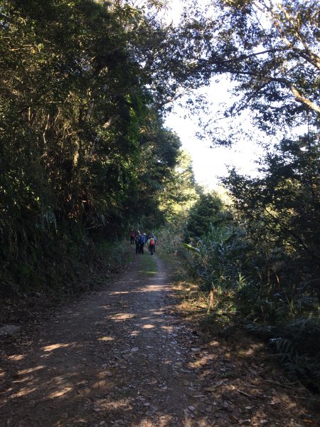 20210206高雄二集團山及櫻花公園1262854