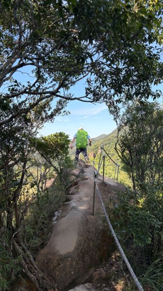 岩壁上的花、艷紅鹿子百合（12868984