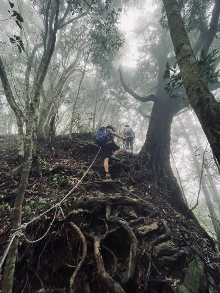 油羅山 2025 09/132890054