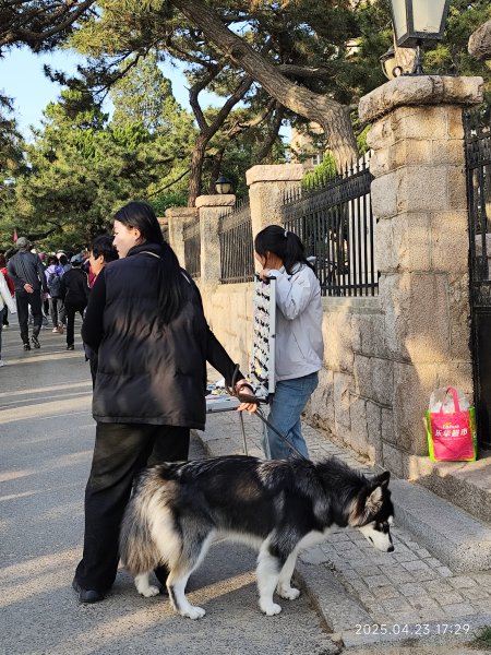 中國山東青島八大關風景區、夜遊嶗山區2777542