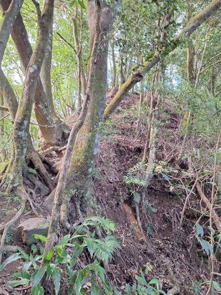 仙山古道群峰O型2693646