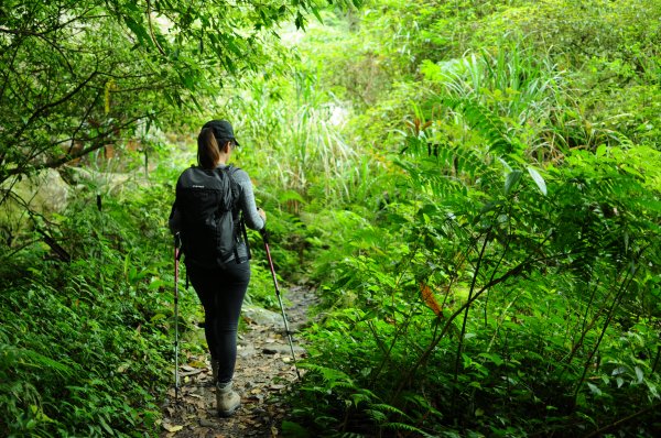 加里山首刷探路沒登頂574899