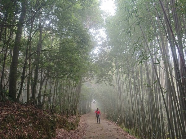 李崠山、泰平山、馬望僧侶山O走1211393