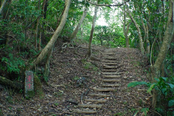 新北 貢寮 大石壁坑山、五酒桶山、龍崗山2980849