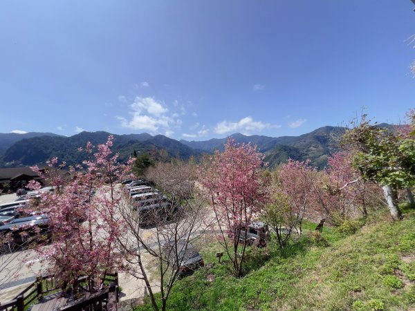~ 上帝的部落 - 司馬庫斯 ~3023554
