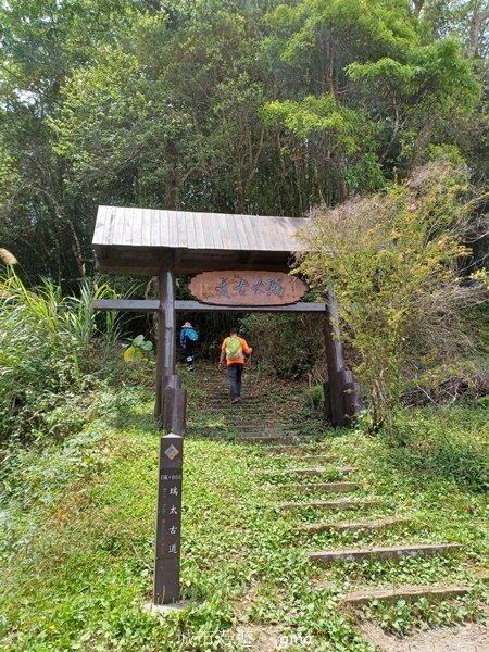 【嘉義梅山】雲霧裊裊似仙境。 瑞太古道 x大風埕觀日峰x油車寮步道2557794