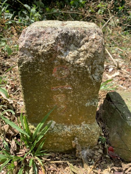 20250315屏東頭崙山-頭崙山西北峰2737215