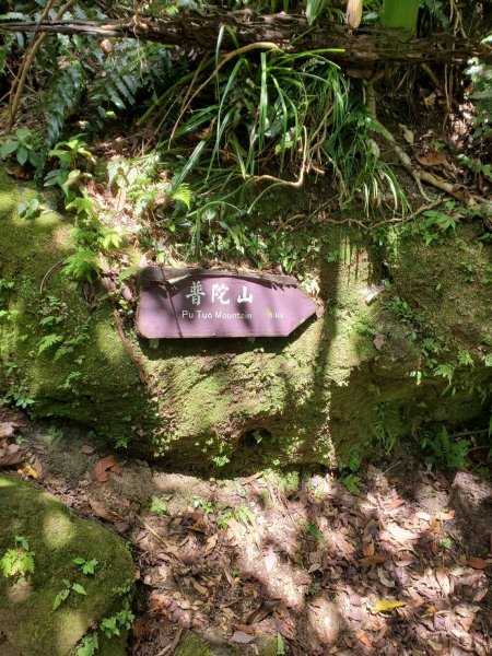 微笑山線：【五分山系】平溪小黃山段2839537