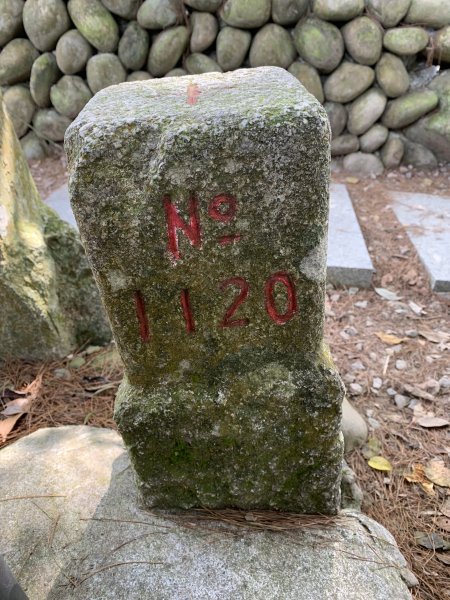 20251108台中頭嵙山-二嵙山2933352