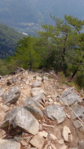 東卯山東南稜原路往返（德芙蘭步道小o繞）尋找失落的石觀音2082145