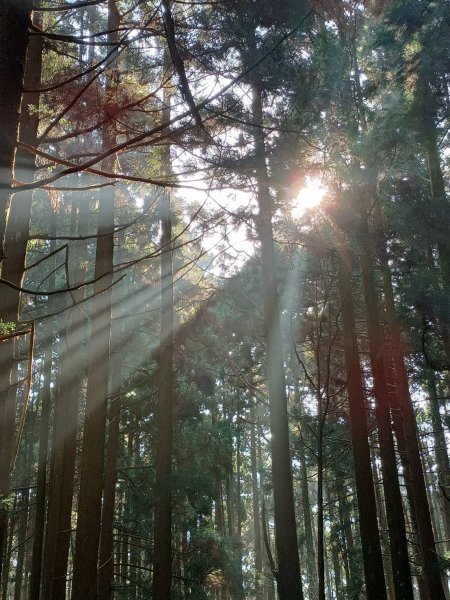 加里山登山步道