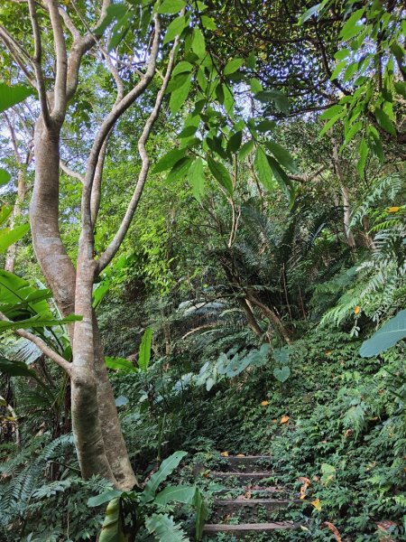 2023.12.14 土城天上山2827284