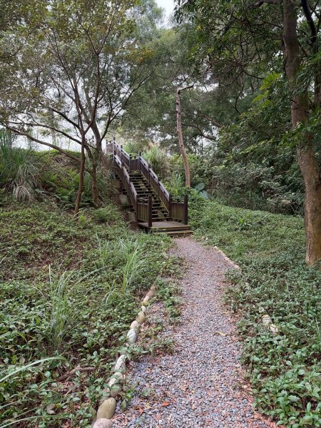 新北 林口 國際AI智慧園區-工一森林小徑-雪花步道-祖師巖登山步道-湖內公園3019100