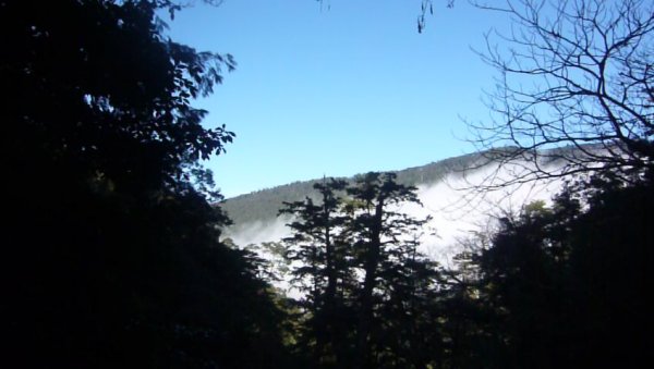 拉拉山國有林自然保護區799210