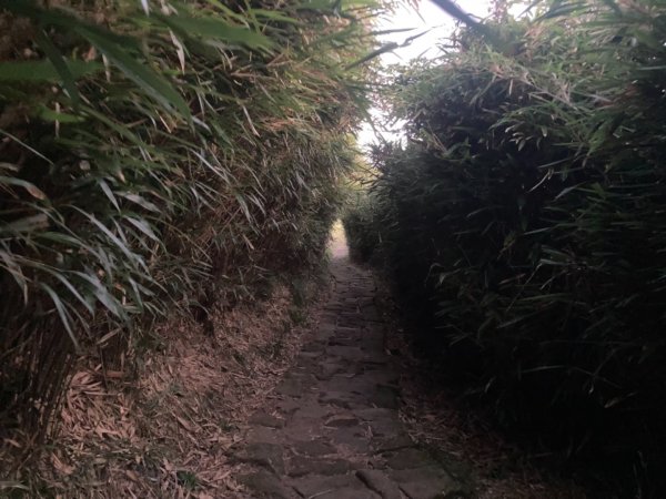 夜爬七星山1797799