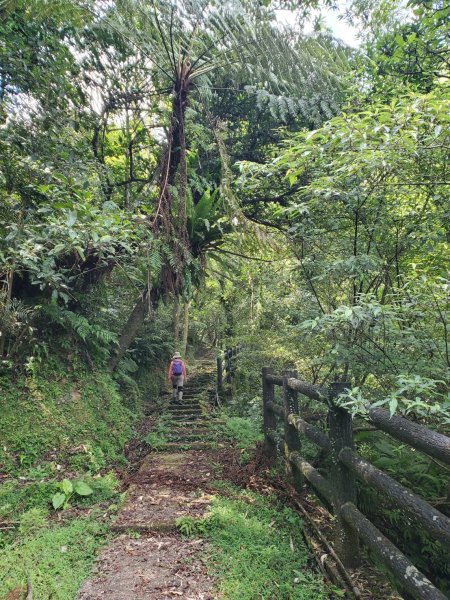 微笑山線：【五分山系】平溪小黃山段2839518