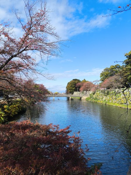 【日本健行】岡山、彥根 (近江八幡、彥根城)、姬路(書寫山圓教寺、世界遺產姬路城、好古園)2946509