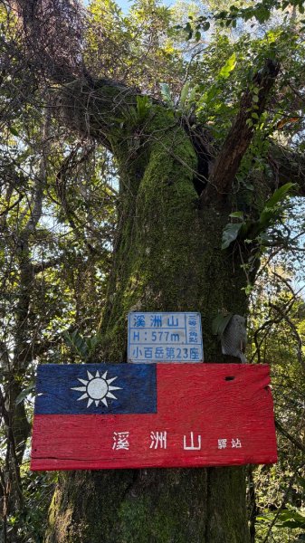 亂走3082239