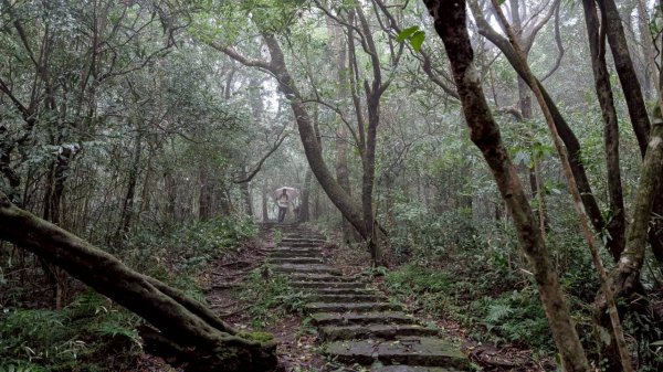 114.11.01旅聯網21週年活動之七星山-七星山東峰-七星公園-夢幻湖2928905