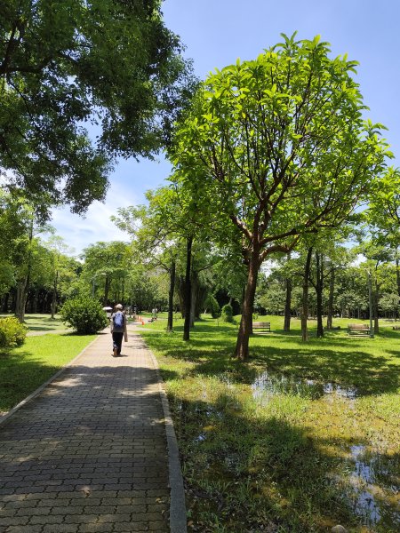 大安森林公園、港墘公園、文德三號公園【走路趣尋寶】【臺北健走趣】2549678