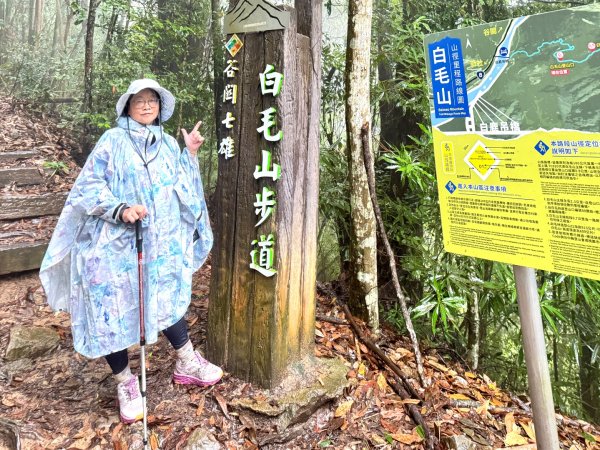 雨下的白毛山步道與白鹿吊橋2805293