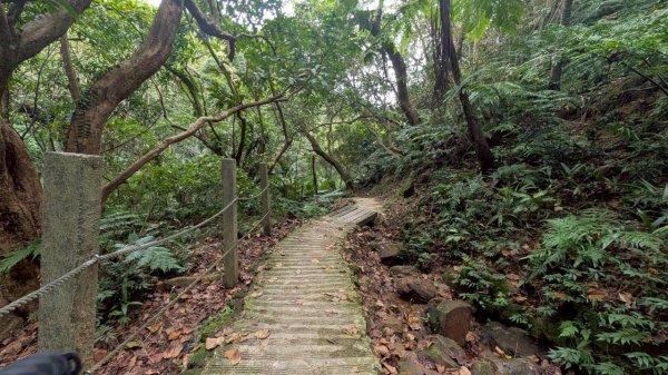天上山步道2980444