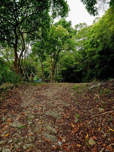 加奈美山-小百岳#95-台東縣大武鄉2777008