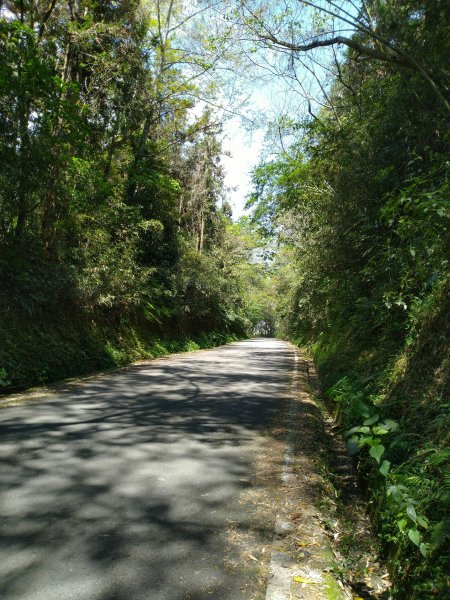 2022-04-09 迷糊步道_福山古道O型1668188