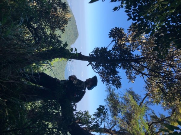 貴妃山、那結山O走1478377