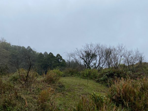 臺北大縱走-頂山石梯嶺982700