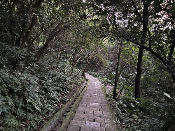 [山頂鳥40周年會員大縱走-09/15] 2024_0718 象山親山步道2556895