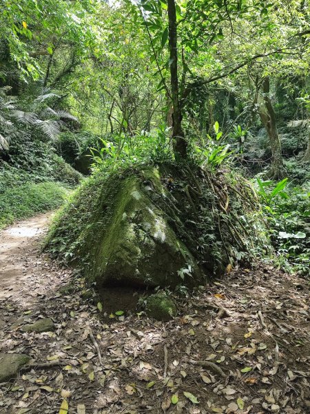 打鐵寮-草嶺山-白石山3043768
