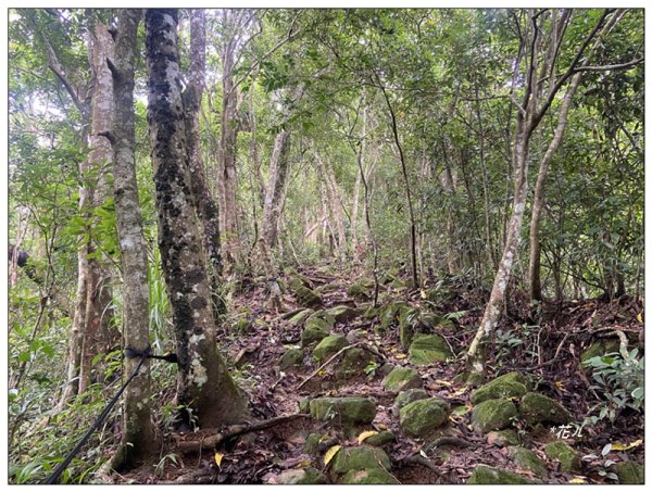 大克山 南稜線A上B下 (卓蘭最高峰)2825459