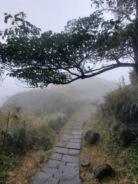 七星山群峰（七星山西、南、主、北、東峰）